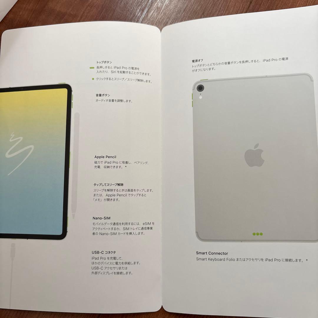 2018年モデル iPadPro11インチ 第1世代 256GB セル