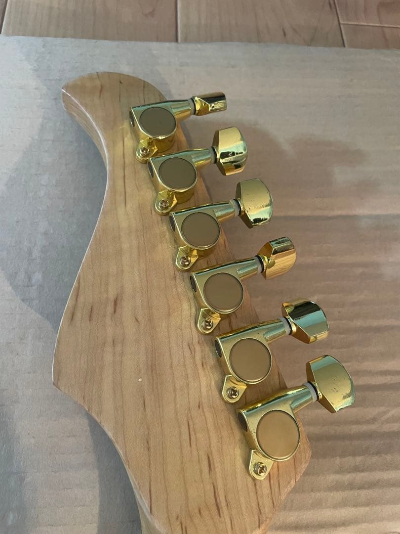 【破格】FUJIGEN　Anboy　HSH仕様　エレキギター　 ブルー 送料込み