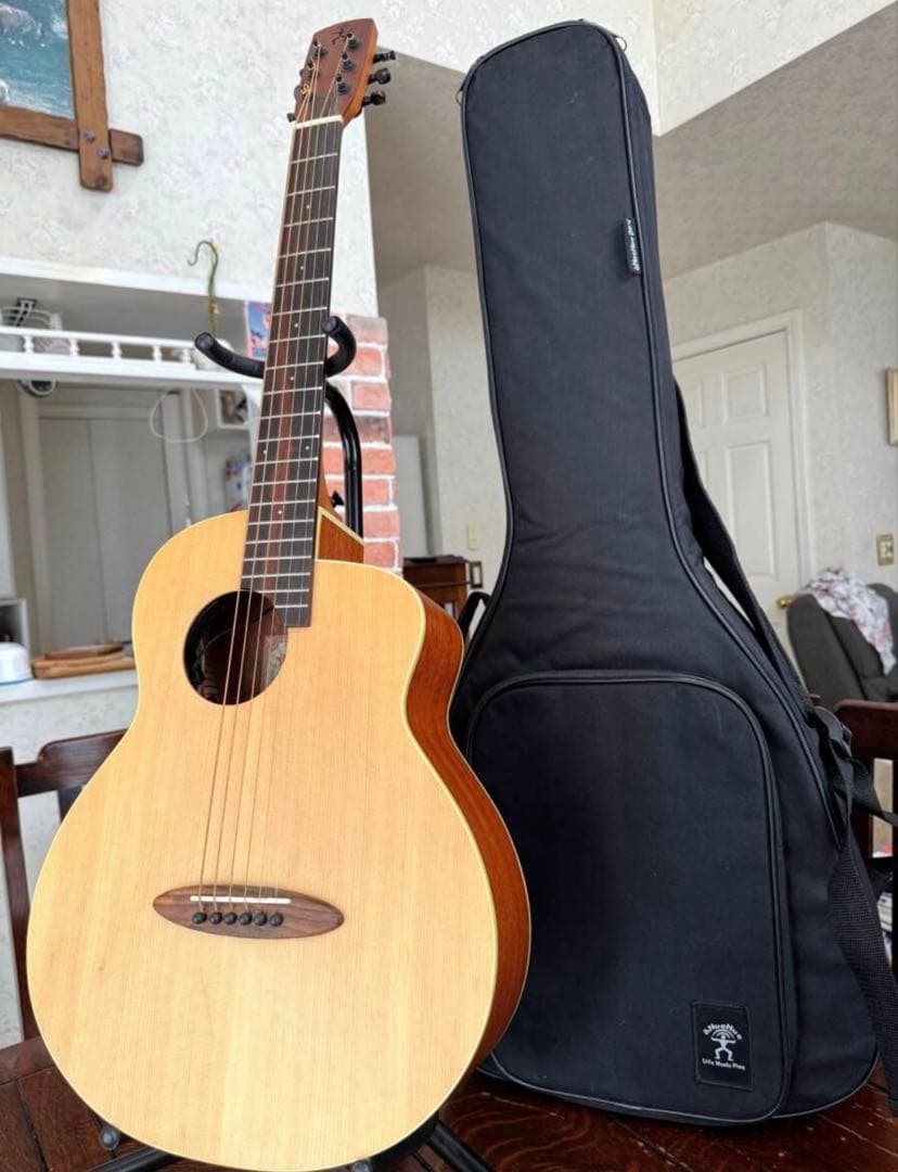 【3.9万Airデュアルピックアップシステム付き】aNueNueアヌエヌエ M1