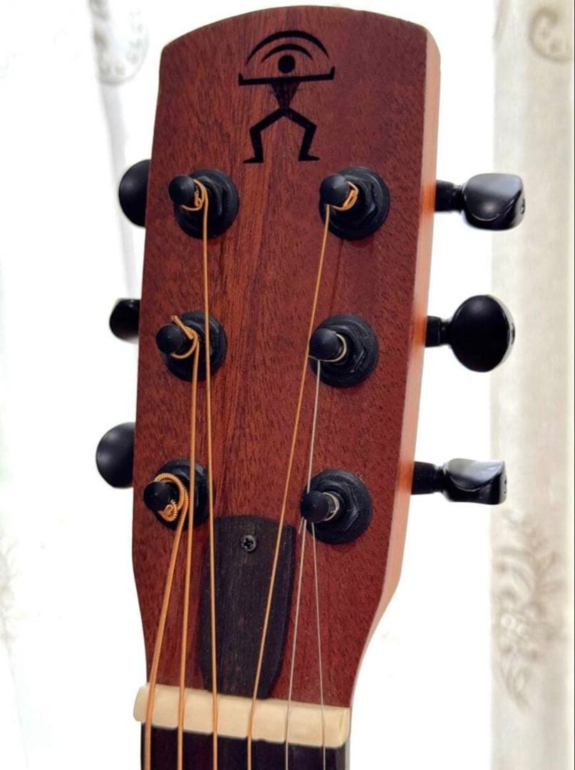 【3.9万Airデュアルピックアップシステム付き】aNueNueアヌエヌエ M1