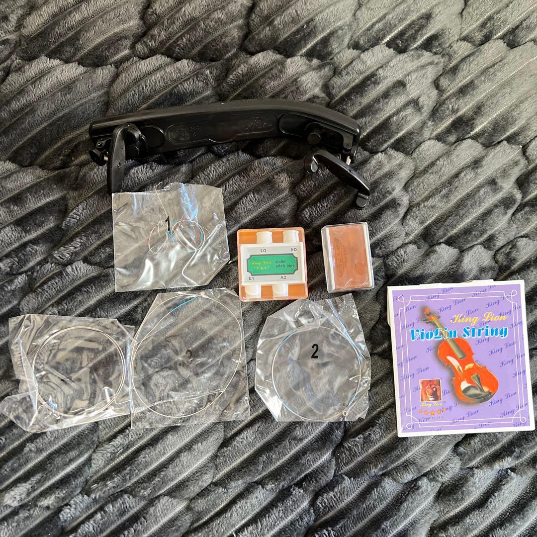 【美品｜ケース付】HALLSTATT ハルシュタット V-12