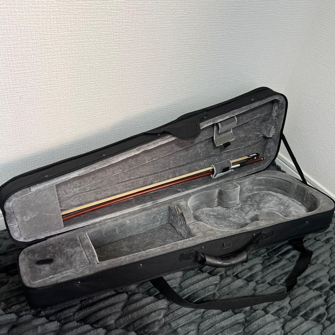 【美品｜ケース付】HALLSTATT ハルシュタット V-12