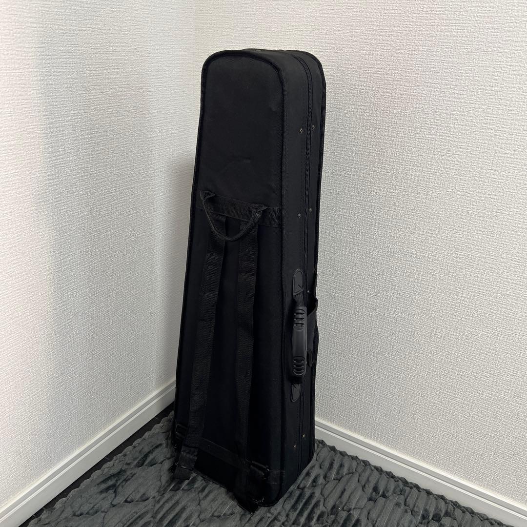 【美品｜ケース付】HALLSTATT ハルシュタット V-12