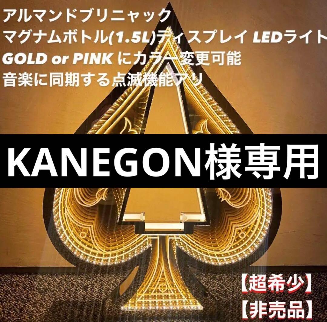 【KANEGON】アルマンド マグナムボトル用 ディスプレイ LED
