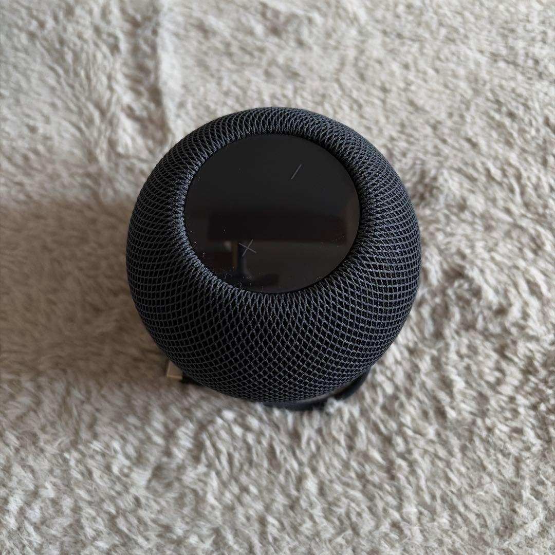 Apple Pod mini ブラック