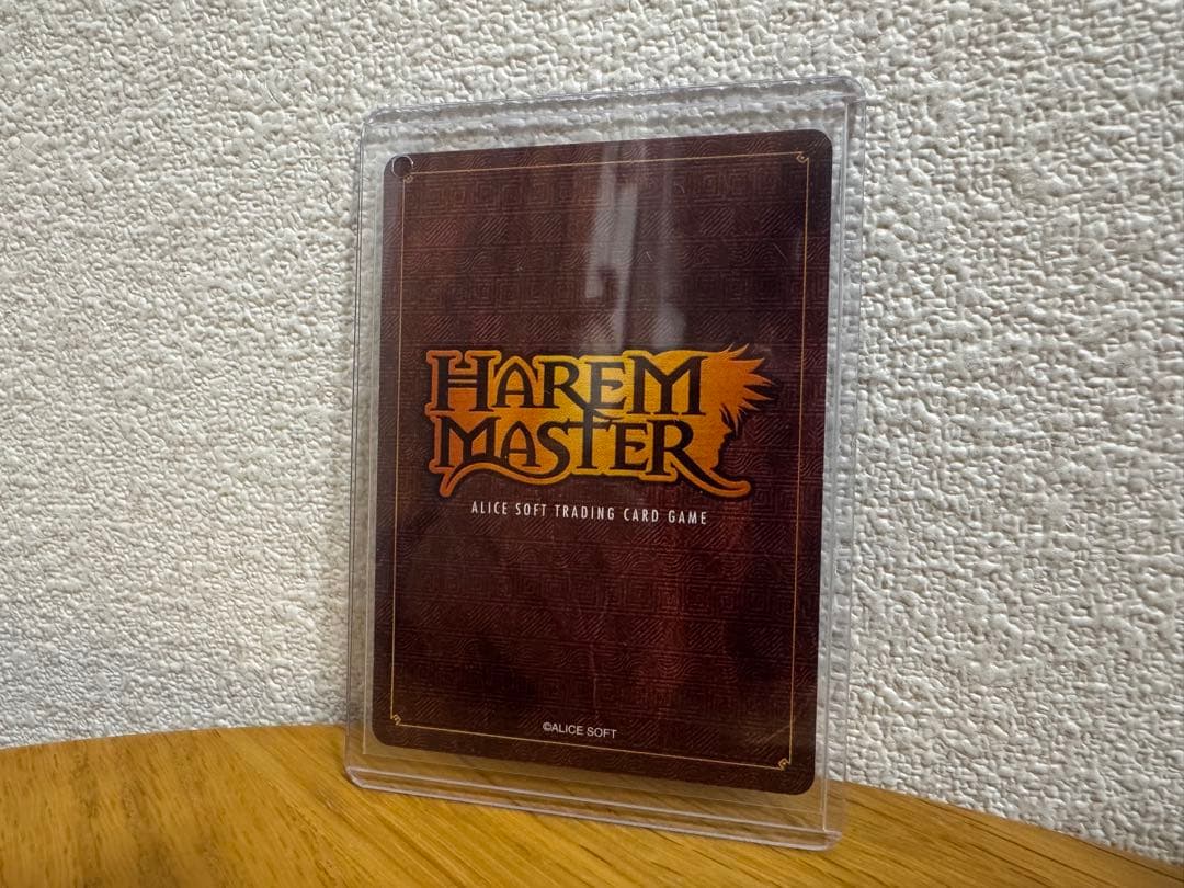 【希少・非売品】ハレムマスター プロモ「のぞみ」P-006 アリスソフト