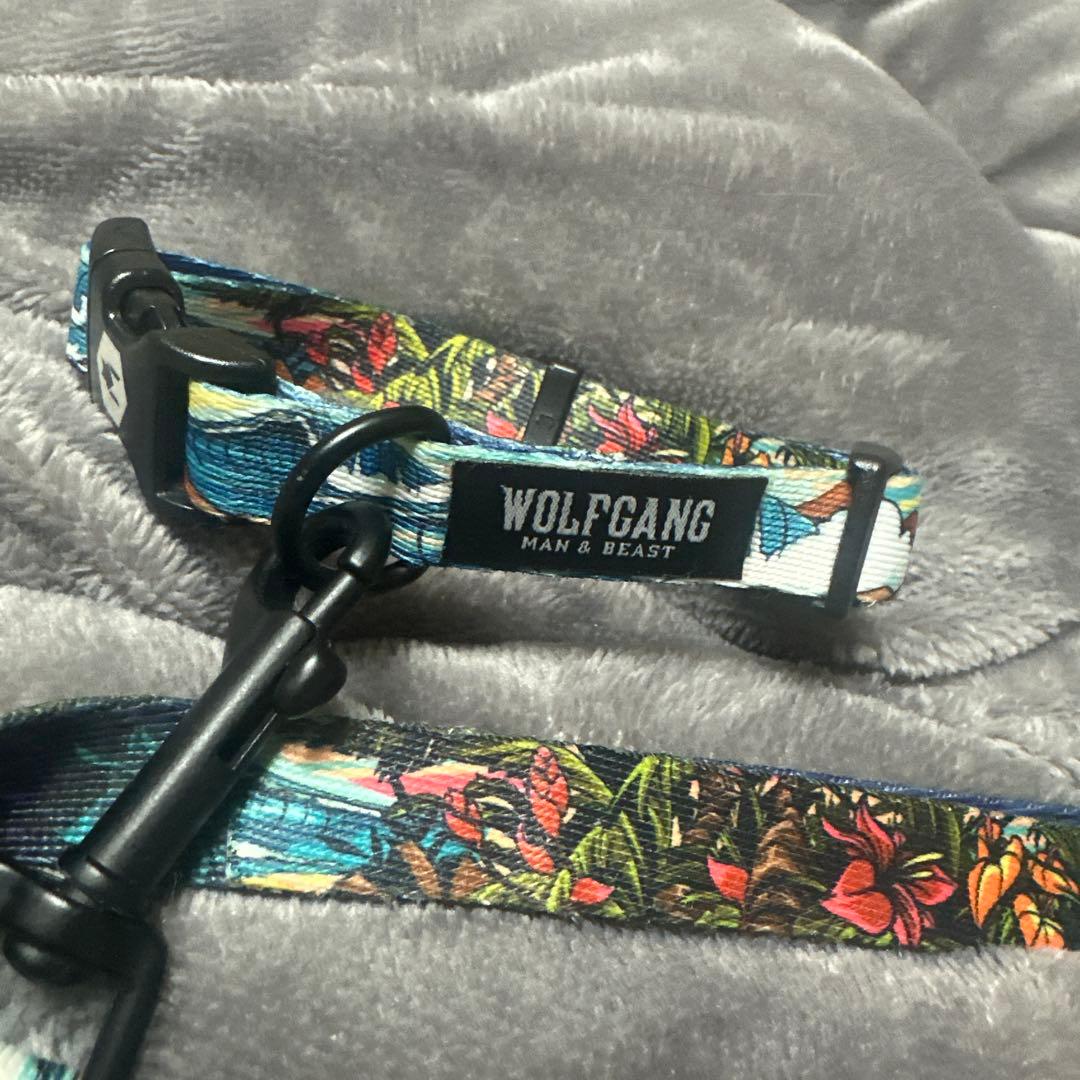 WOLFGANG MAN & BEAST リード