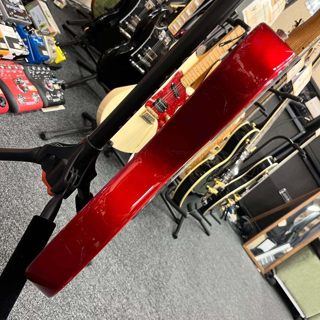 【ソフトケース追加、直接引き取り11294】Bacchus BTE-2-RSM