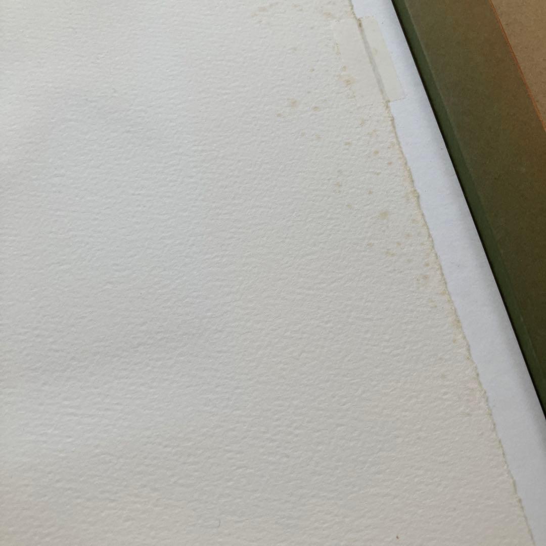 ★アノラ・スペンス　ANNORA SPENCE ツー・ドッグス　2匹の犬