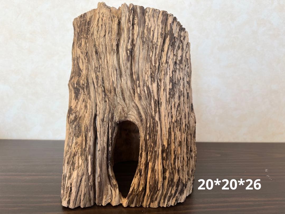 HX-008 流木　空洞　爬虫類　アクアリウム　アクアテラリウム　即沈水