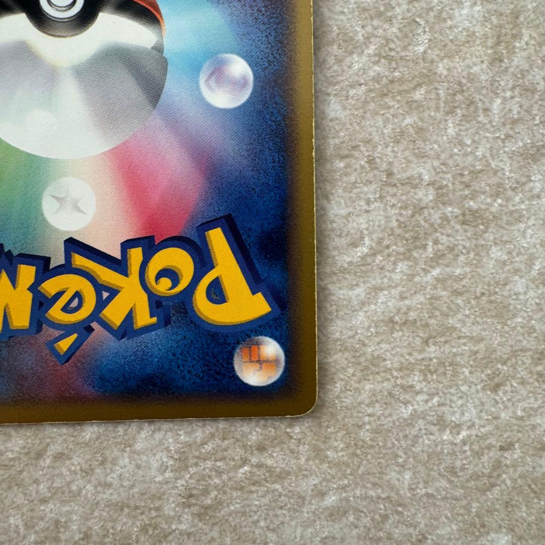 ポケパークのピカチュウ　004