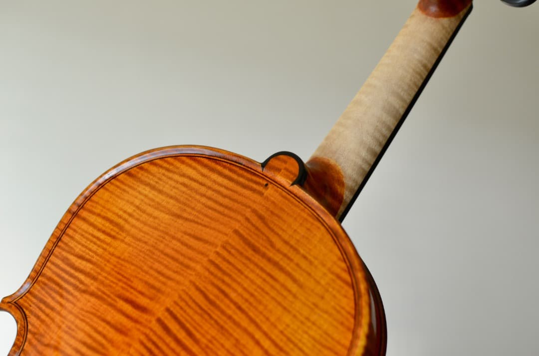 【極虎杢 新品】Gliga Vasile Maestro バイオリン 4/4