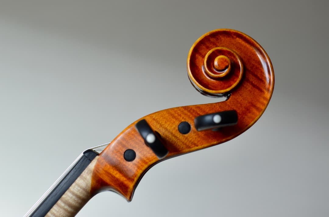 【極虎杢 新品】Gliga Vasile Maestro バイオリン 4/4