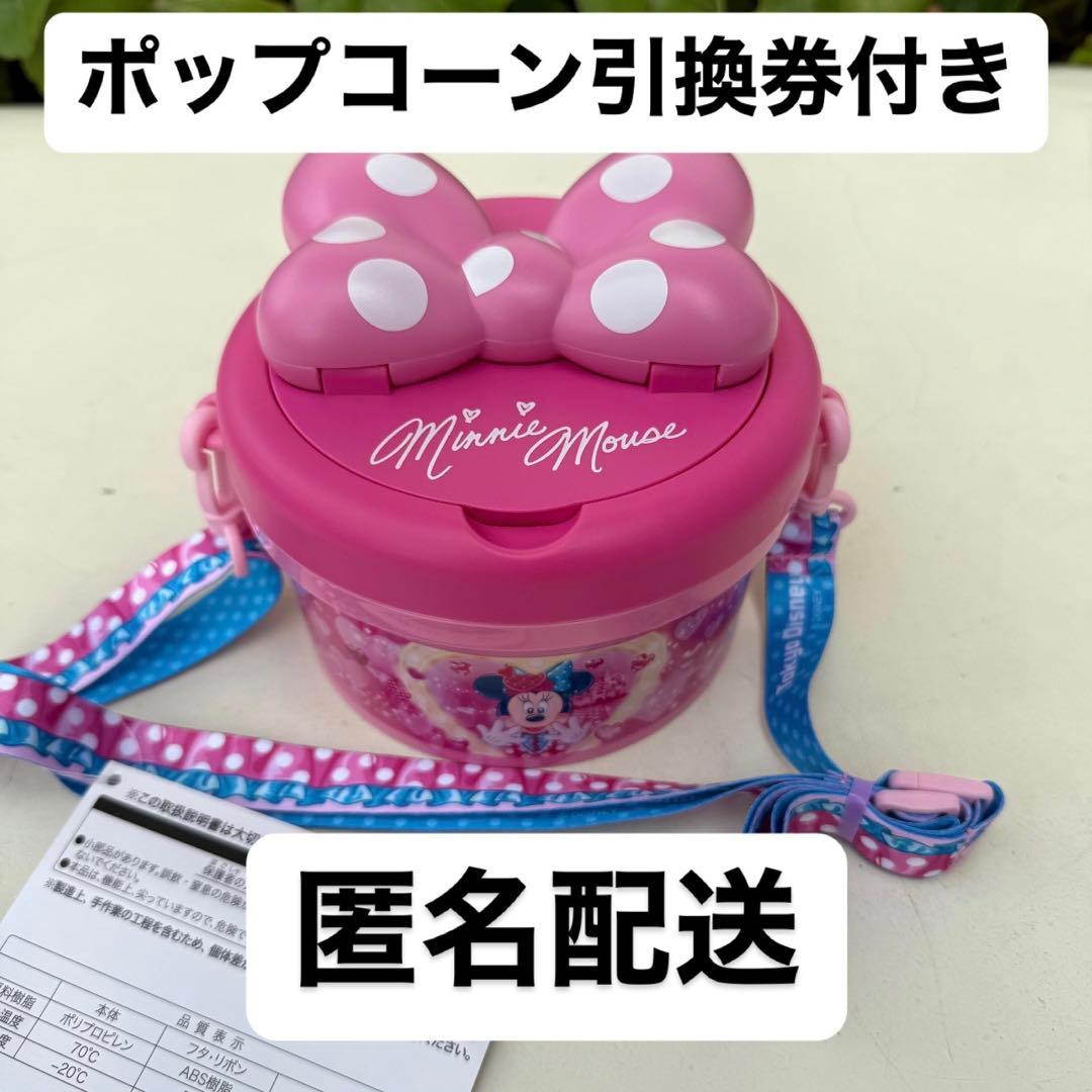 ディズニーランド　パルパルーザ　ミニーのファンダーランド　ポップコーンバケット