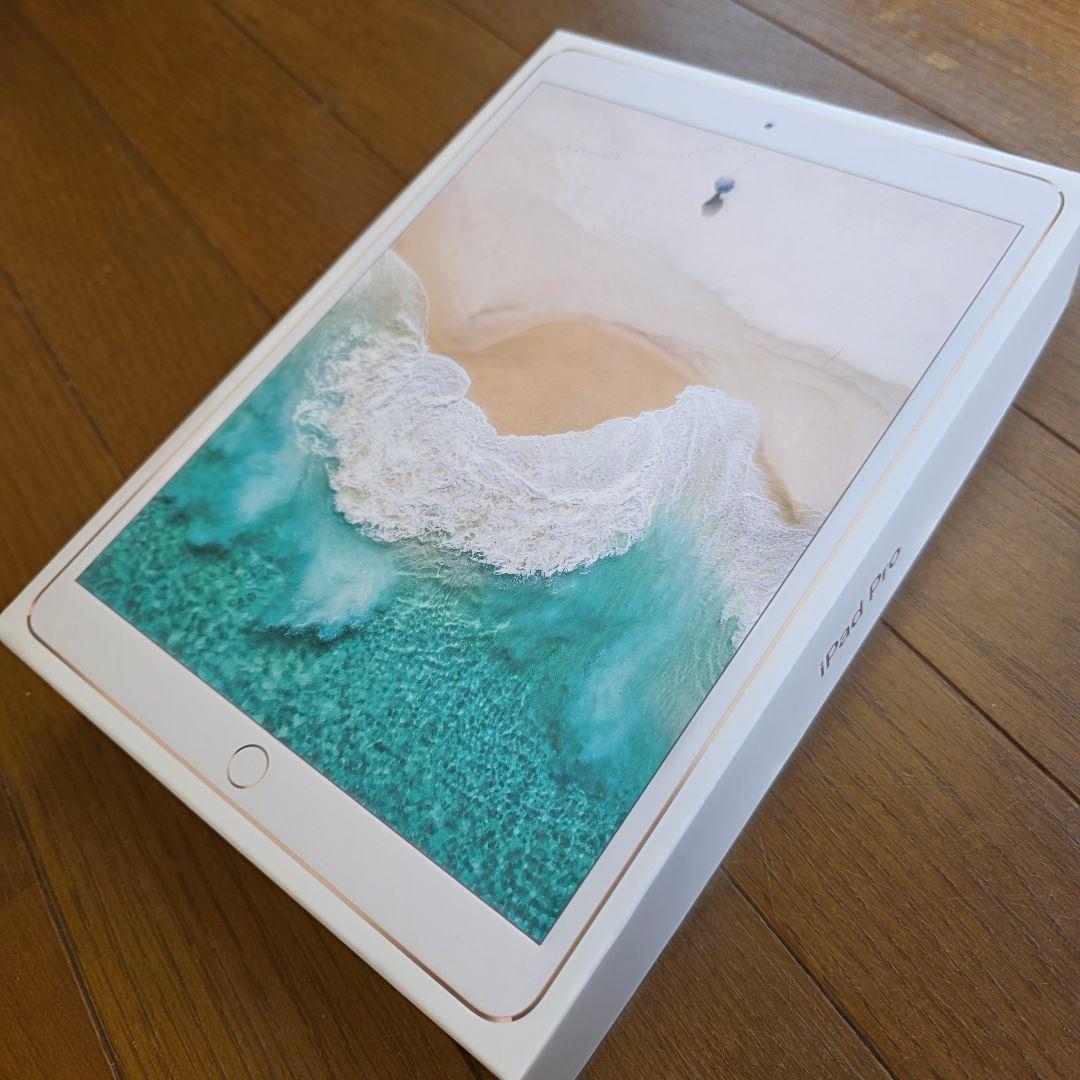 藤本【ジャンク品】iPad Pro 10.5インチ 256GB