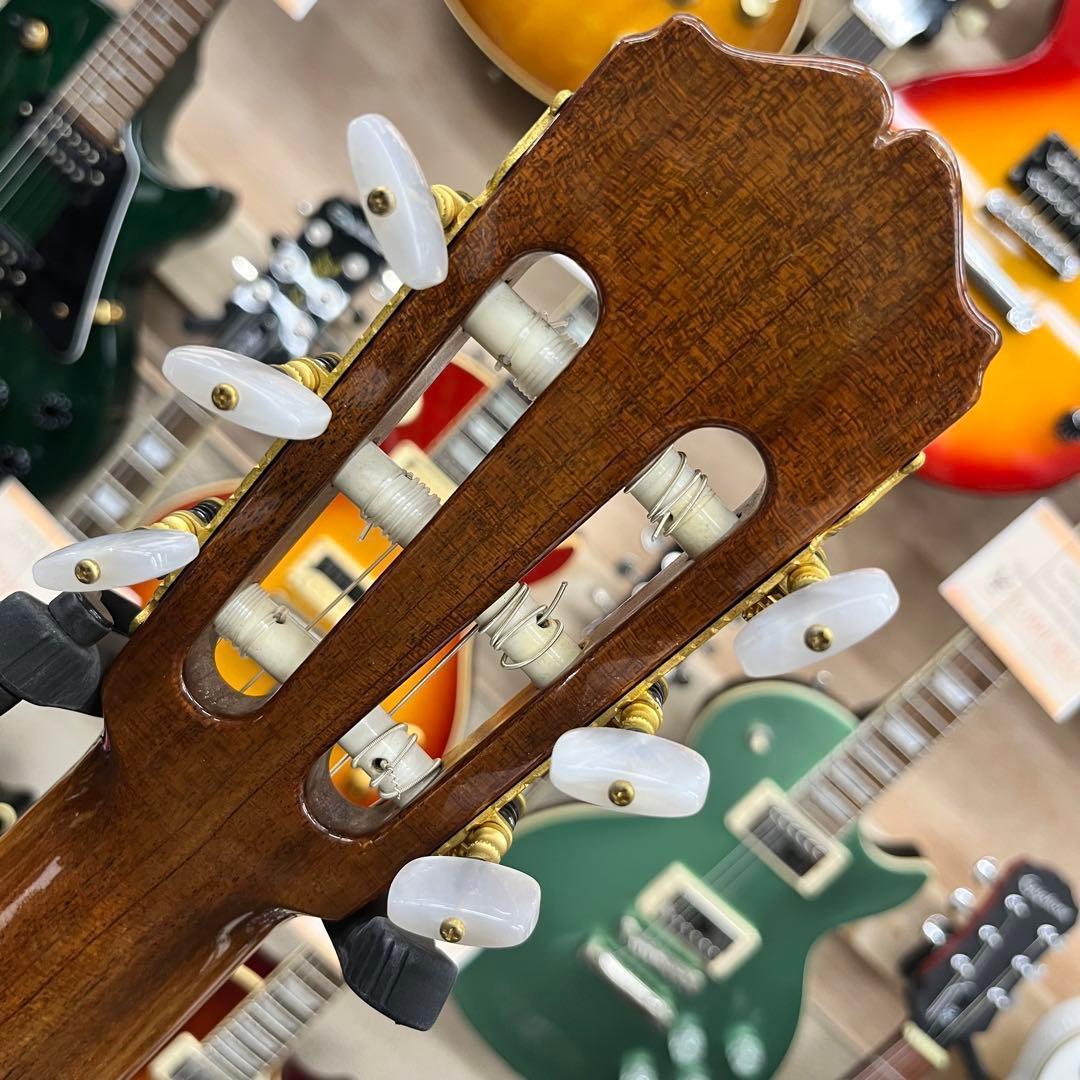 【10990】 Takamine エレアコ マカフェリ NPT-315