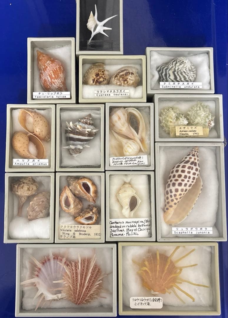 確認用　計14点