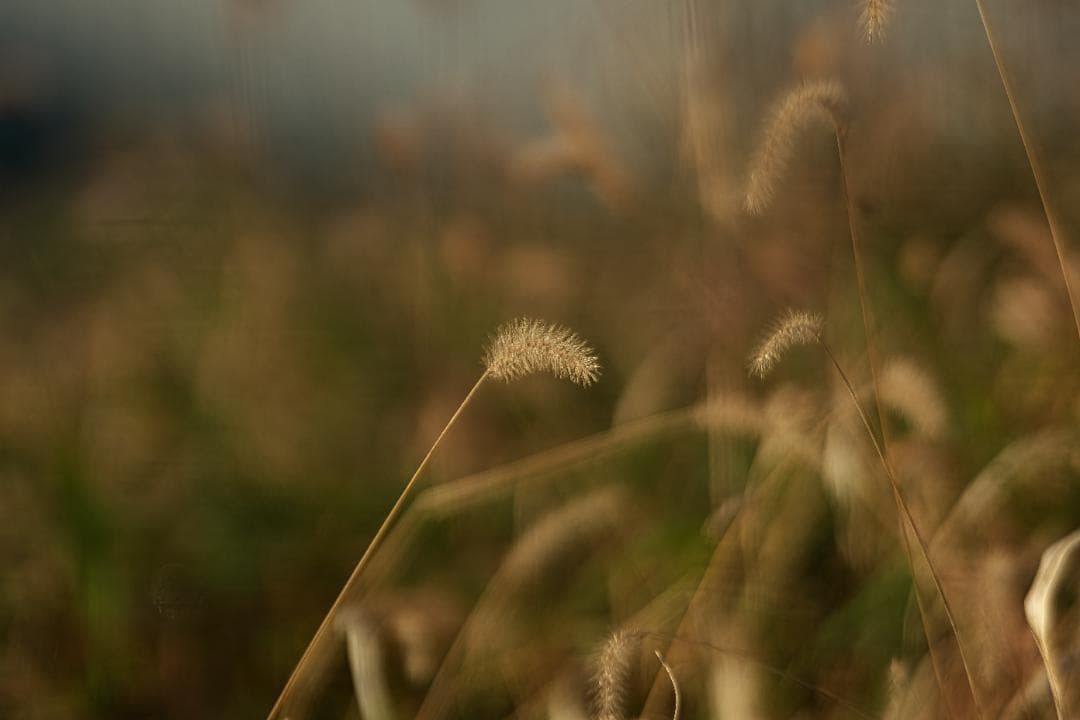 ジャンク　Nikon AF-S NIKKOR ED 600ｍｍｆ４Ｄ