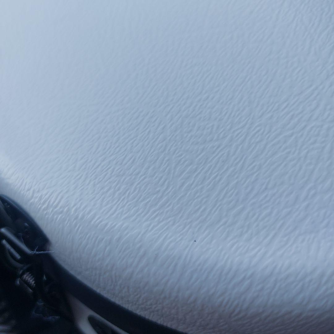 4/4バイオリンケース