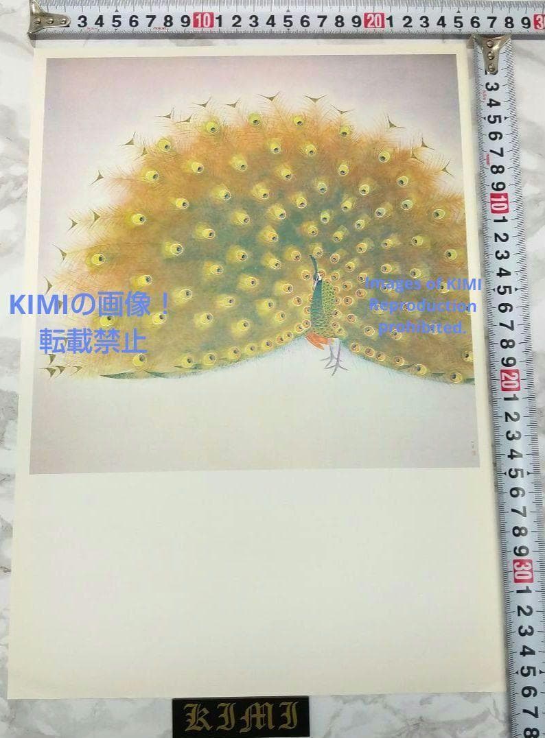 ポスター 孔雀 上村松篁 Poster Peacock Shoko Uemura