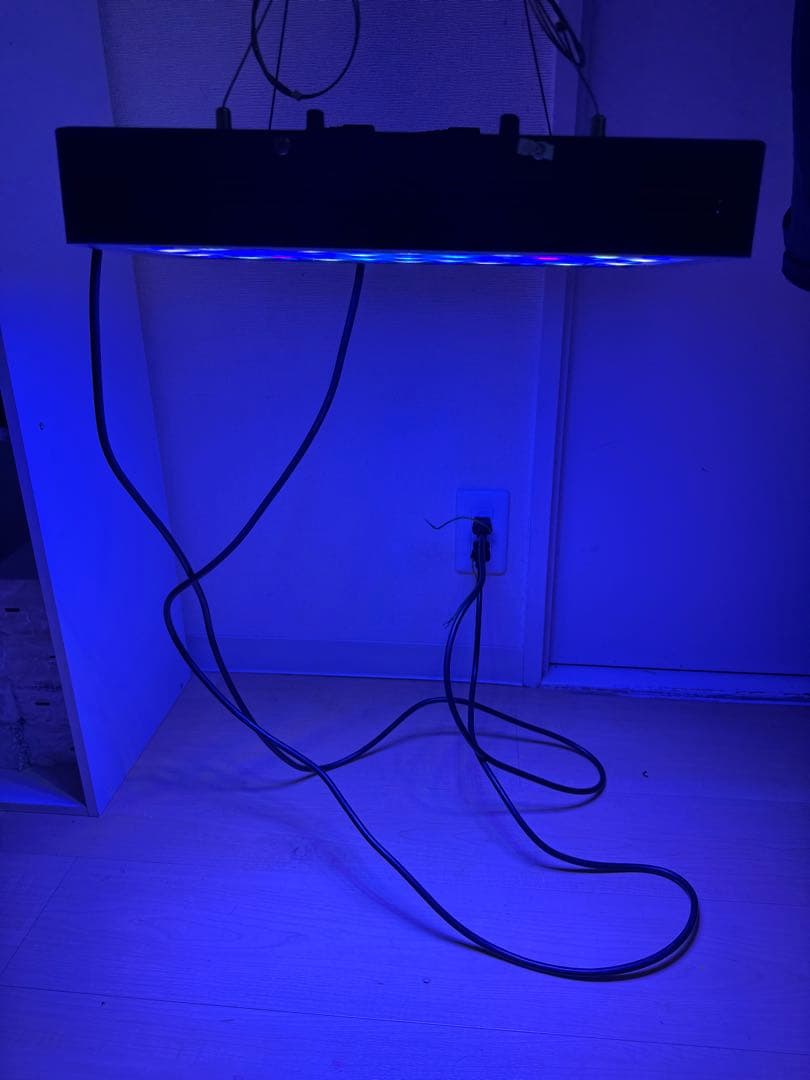 LEDサンゴ育成ライト 55個搭載