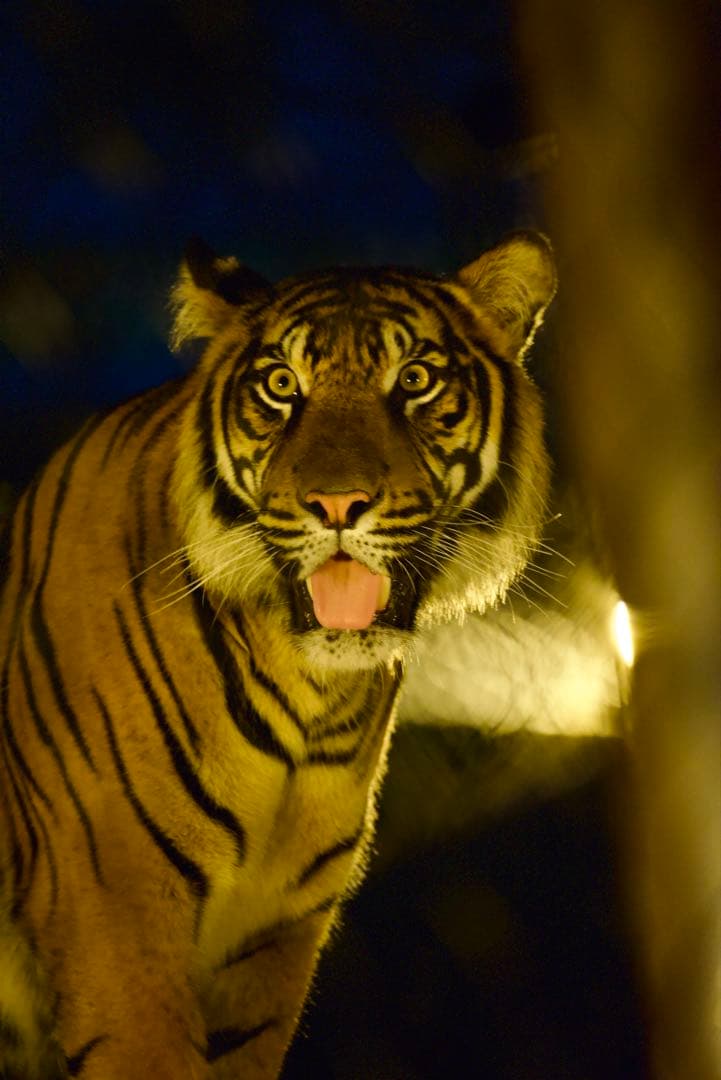 【修理済み】Nikon D750 デジタル一眼レフ