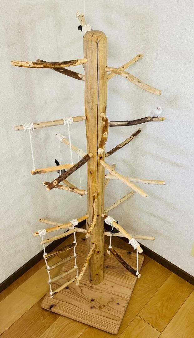 【中型鳥用】ブランコ＆はしごで楽しいバードアスレチック