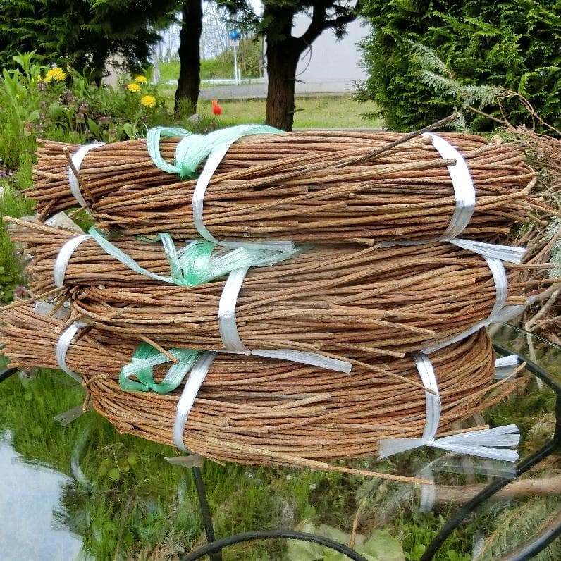 エミリー　青森岩木山　あけび蔓　150cm～ 3kg