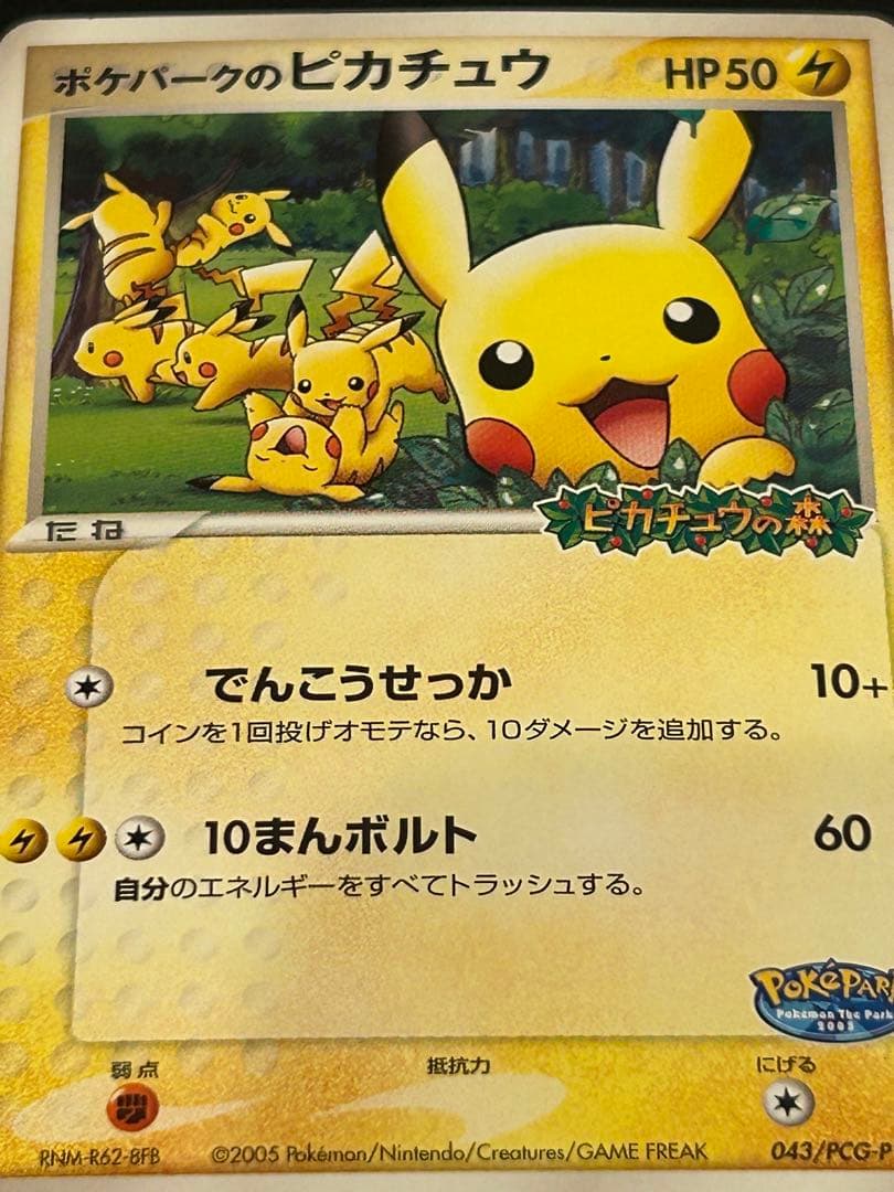 ポケパークのピカチュウ