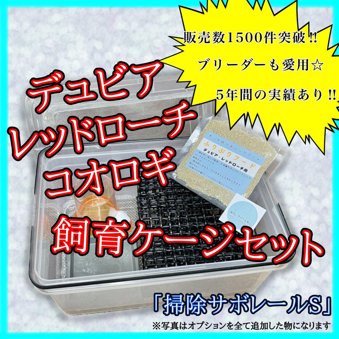 P.様　S(フル)(デュ)