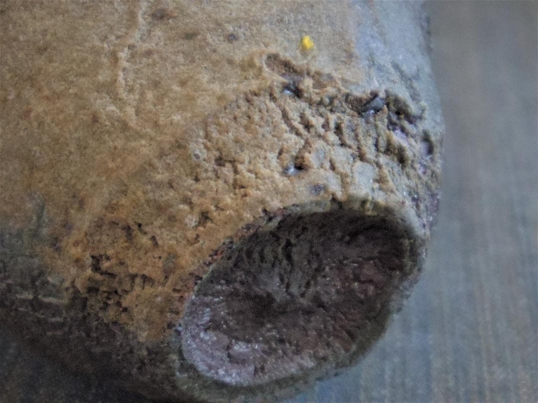 人気作家★川上清美★焼き締め【備前唐津】ぐい吞