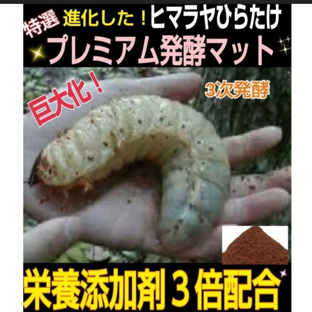 ヘラクレス幼虫が大きくなる！プレミアム3次発酵マット【60リットル】産卵にも抜群