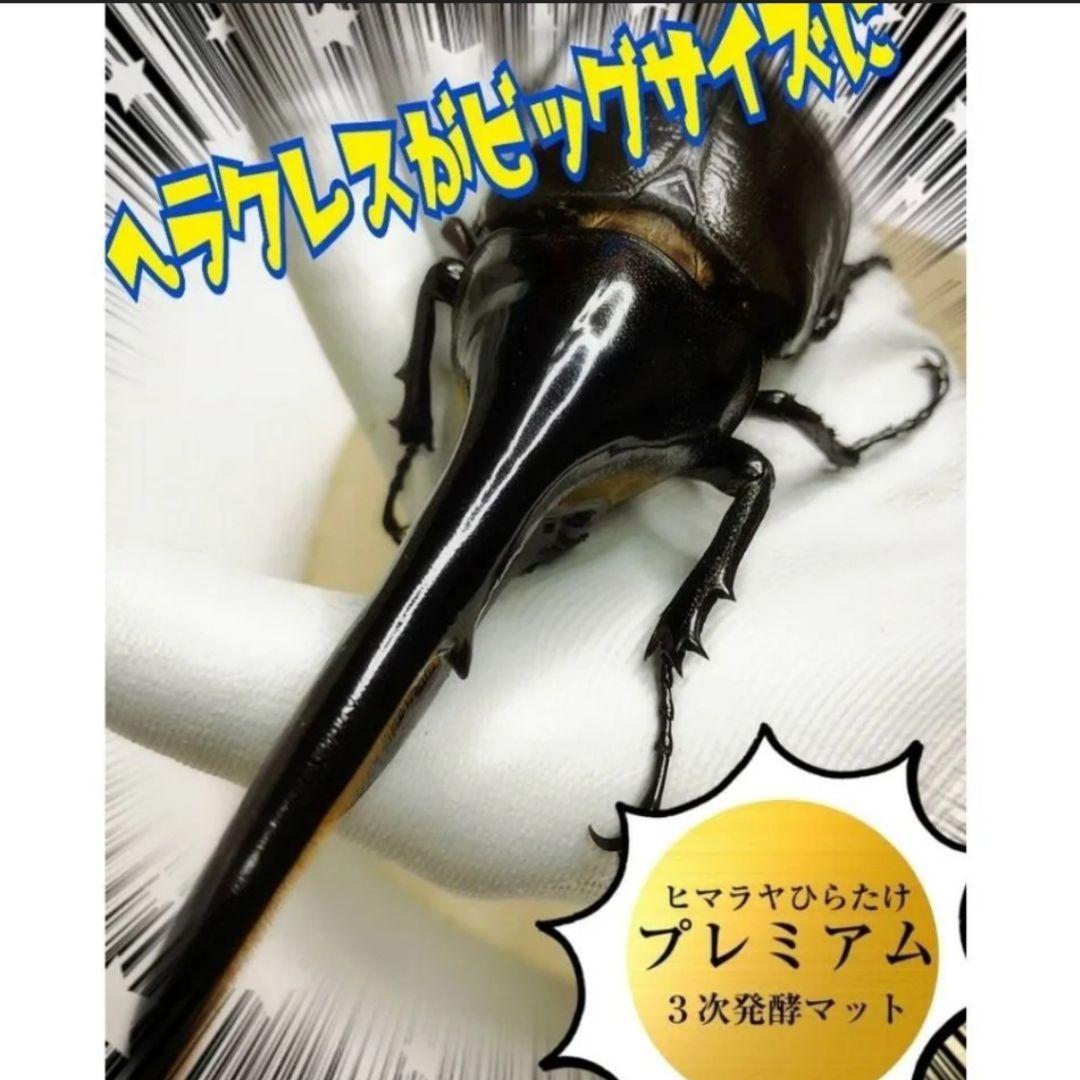 ヘラクレス幼虫が大きくなる！プレミアム3次発酵マット【60リットル】産卵にも抜群