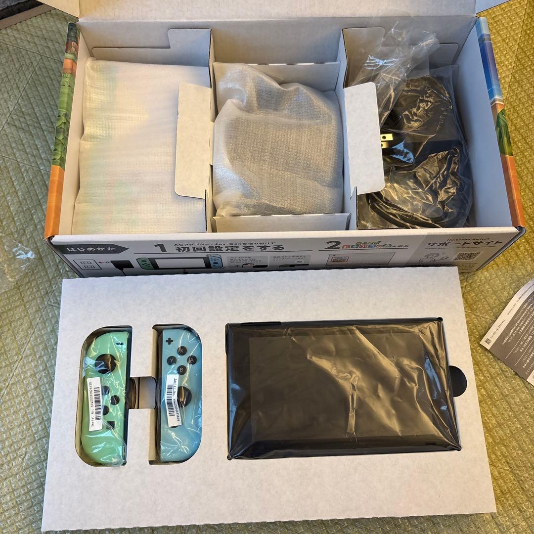 Nintendo Switch あつまれ どうぶつの森セット　ケース付き