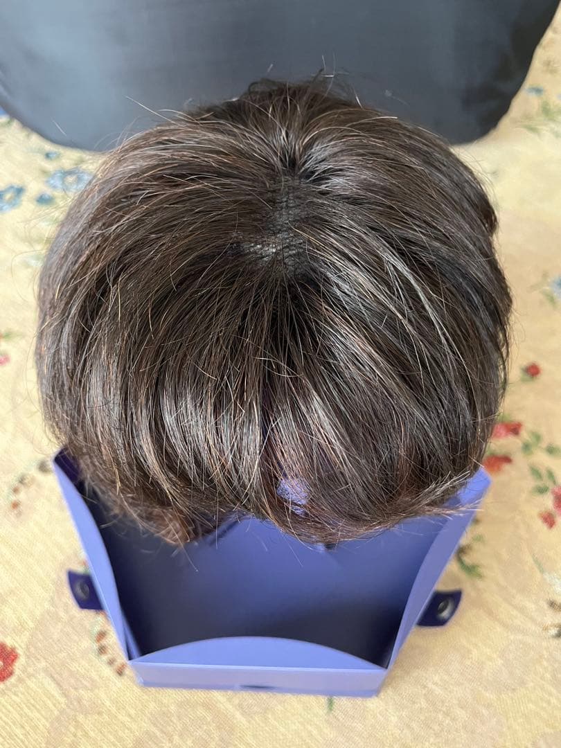 FONTAINE フォンティーヌ ウィッグ