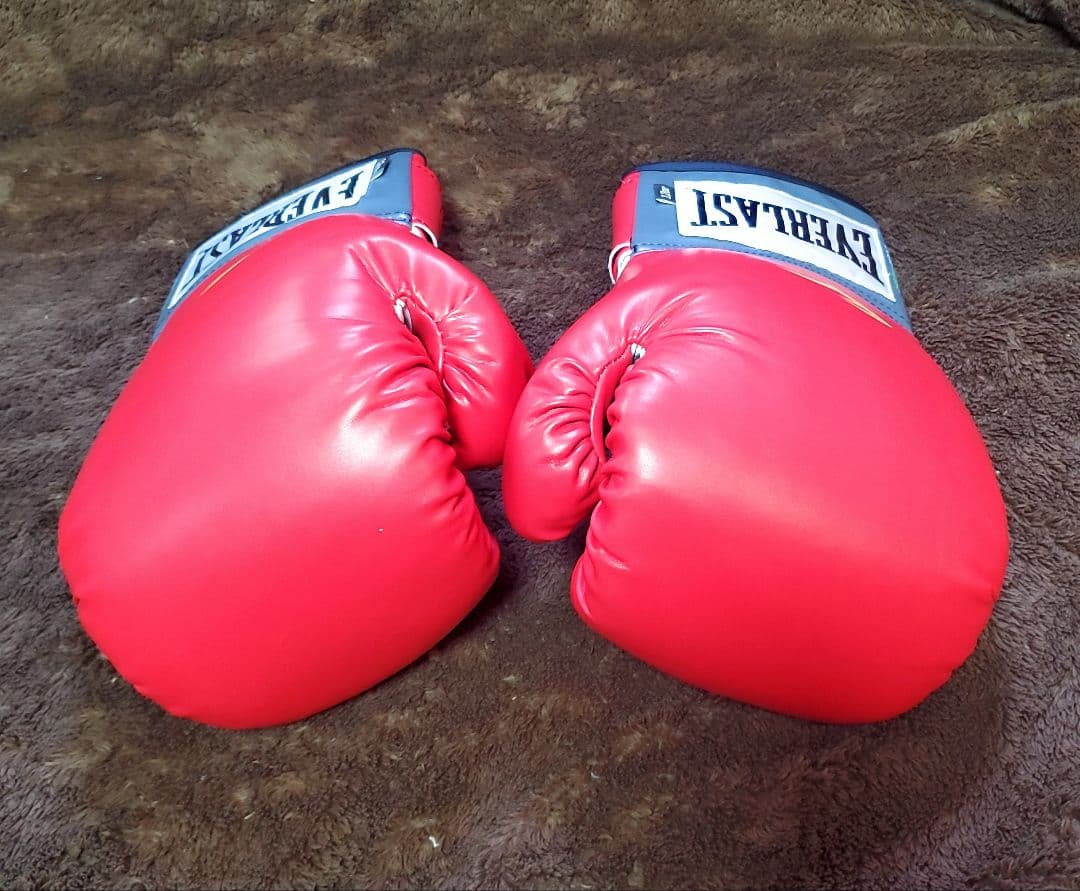EVERLAST 　ボクシンググローブ　ミット　セット