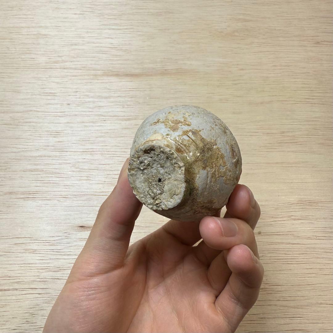 古瀬戸 小壷 分骨壺 鎌倉時代 陶片 発掘品 古美術 民藝 古常滑 山茶碗 骨董