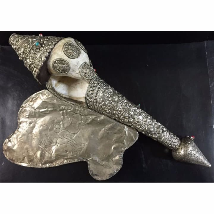 ◆チベット密教法具　法螺貝（シャンカ）-BS