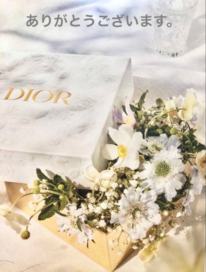 Dior ミラー　ベロア