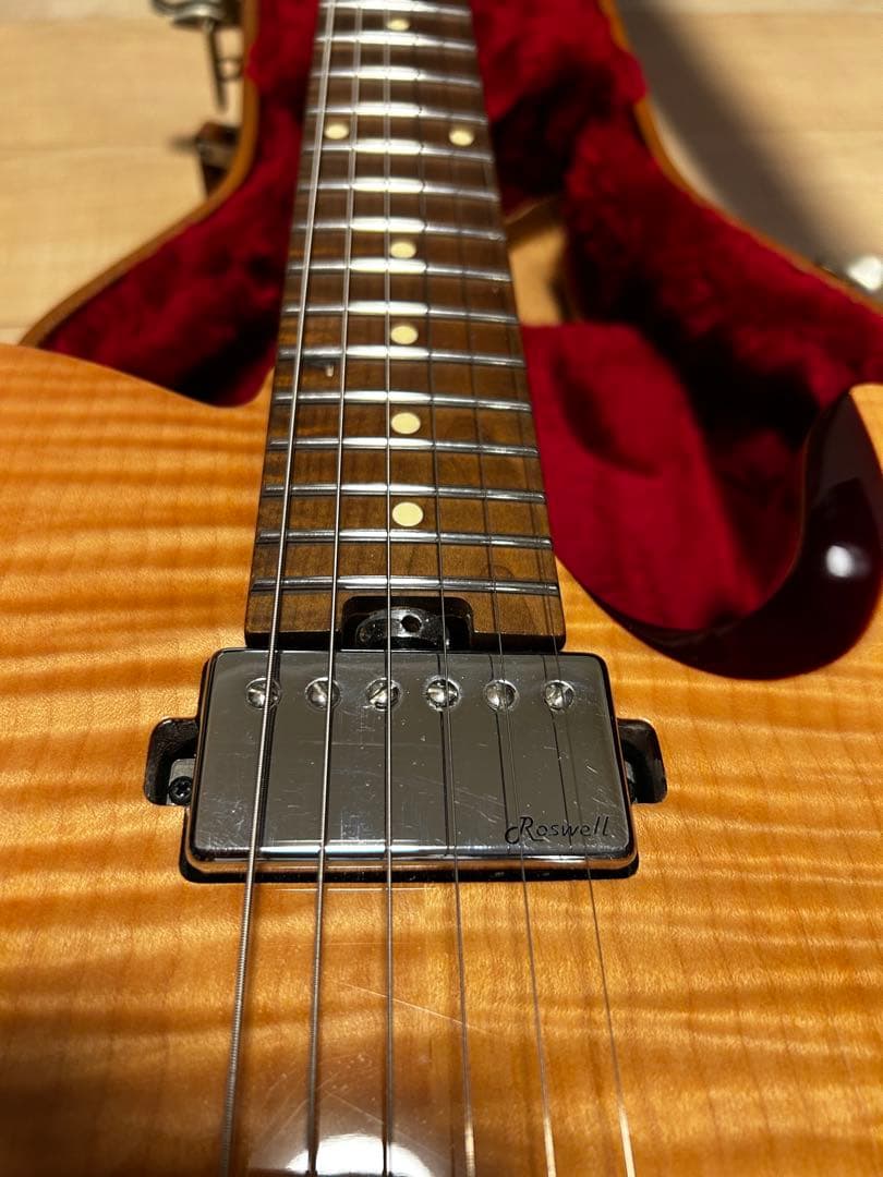 ギター Harley Benton Fusion-T HH Roasted