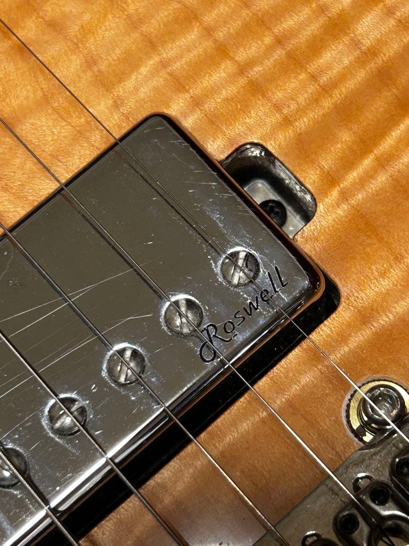 ギター Harley Benton Fusion-T HH Roasted