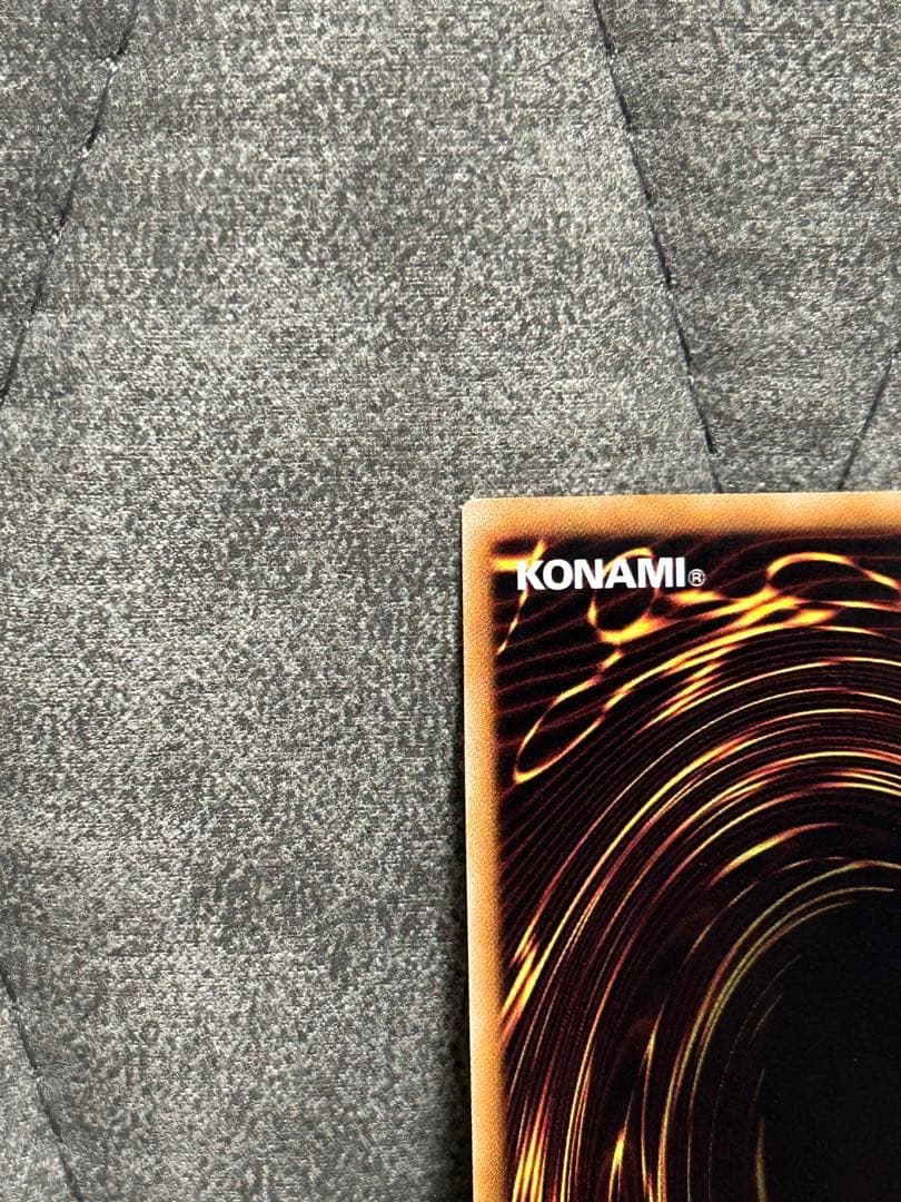 s*u様 ブラック・ローズ・ドラゴン レリーフ　美品