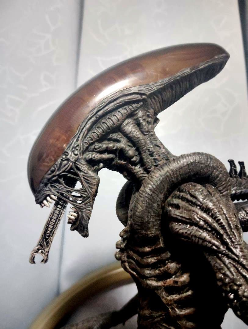 2006.HOTTOYS MM#017“AVP·Alien Warrior”