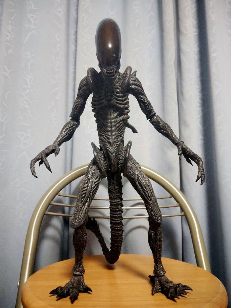 2006.HOTTOYS MM#017“AVP·Alien Warrior”