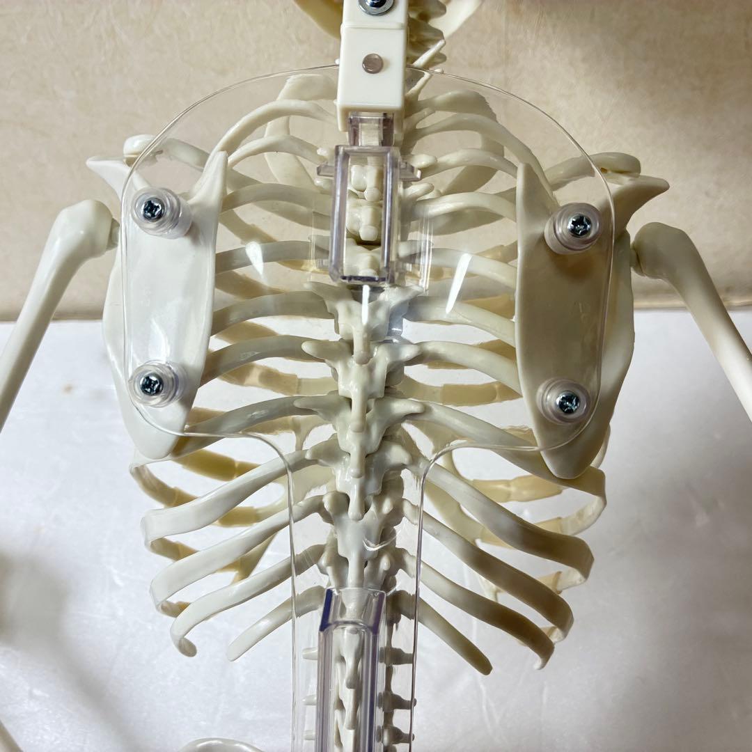 デアゴスティーニ　おしゃべりガイコツ　ホネッキー1～70