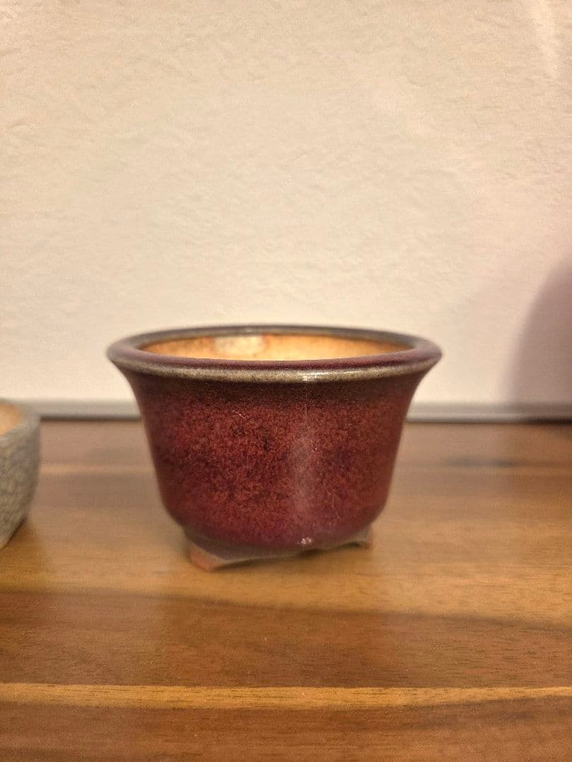 美巧　堀江美巧　盆栽鉢　鉢　盆栽　陶器鉢 5点セット