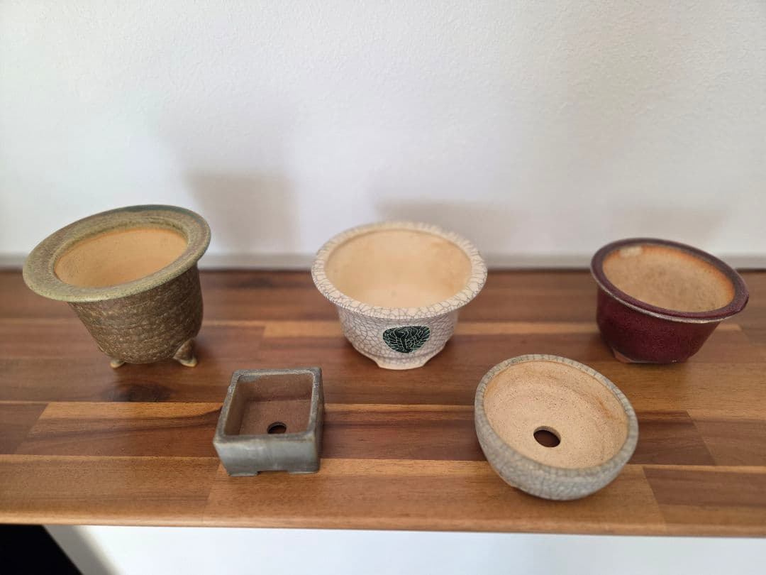 美巧　堀江美巧　盆栽鉢　鉢　盆栽　陶器鉢 5点セット