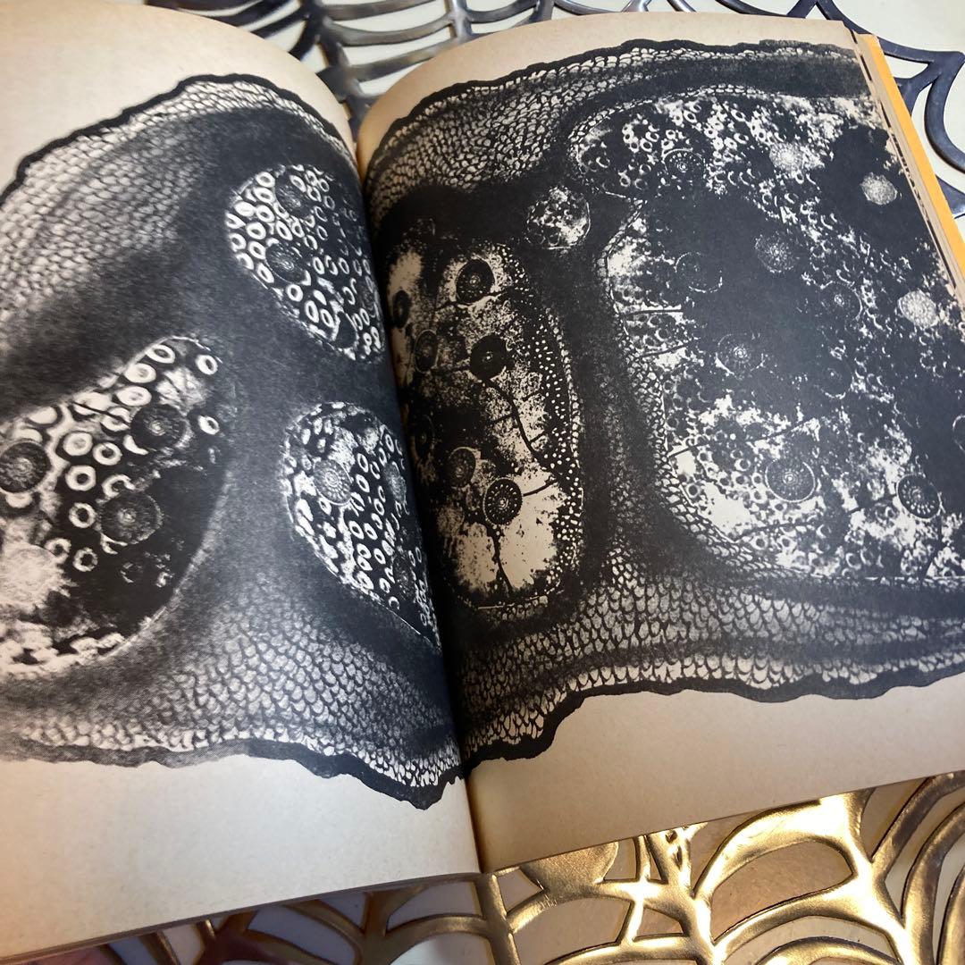 マンハッタン自殺未遂常習者