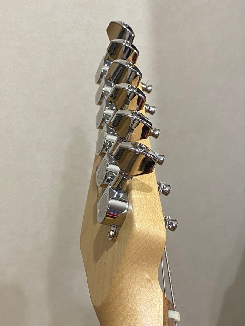 シェクター SCHECTER エレキギター ストラト 美品 付属品多数