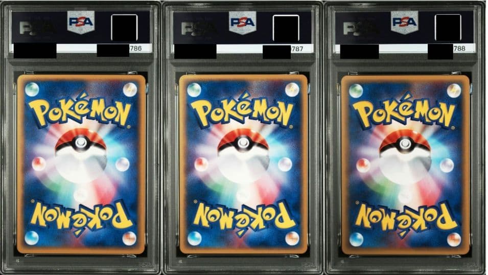 カモネギ ヒメグマ リングマ PSA10 温泉 連番